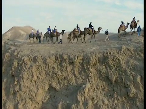 游客骑骆驼，犹太沙漠，以色列视频素材