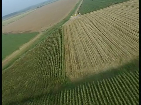 空中WS作物喷粉机在以色列加利利的农田上行动视频素材