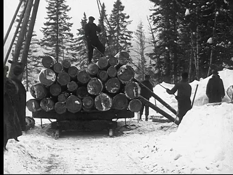 1927年，加拿大安大略，伐木工人装载装载原木的雪橇视频素材