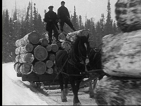 1927年，在加拿大安大略省的乡村公路上，马拉着雪橇和堆放的原木视频素材