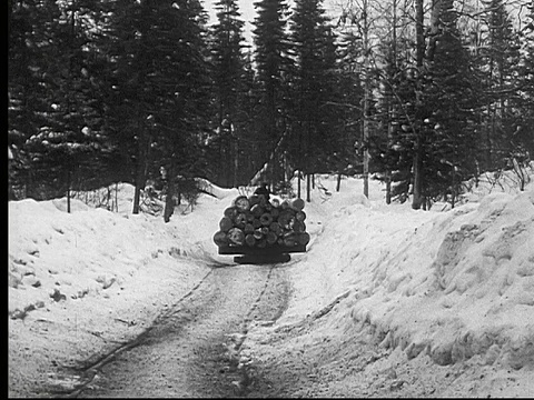 1927年，加拿大安大略省，骑着雪橇和堆放的圆木穿过森林道路视频素材