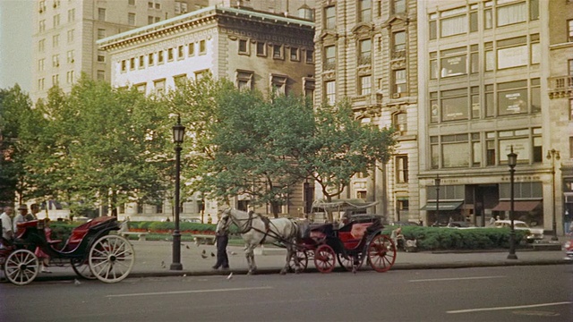 1956年，纽约曼哈顿广场酒店附近的WS中央公园马车视频素材