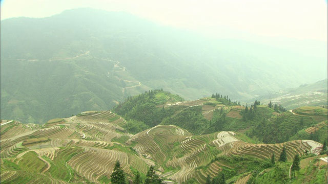 中国广西壮族自治区桂林WS HA梯田视频素材