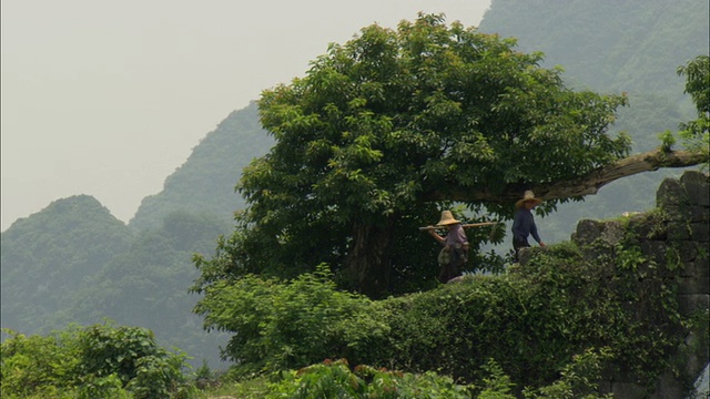 中国广西壮族自治区桂林，两名农民正穿过一座以山为背景的人行桥视频素材