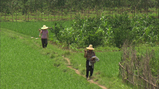 中国广西壮族自治区桂林，两名农民背着锄头走在小路上视频素材