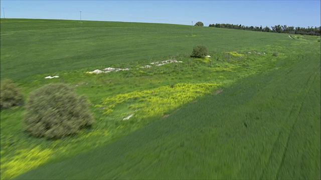 以色列的ramot menashe / Galilee地区视频素材