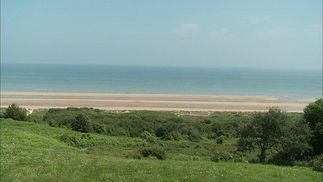 WS草沙丘在奥马哈海滩，Colleville-Sur-Mer，法国诺曼底视频素材