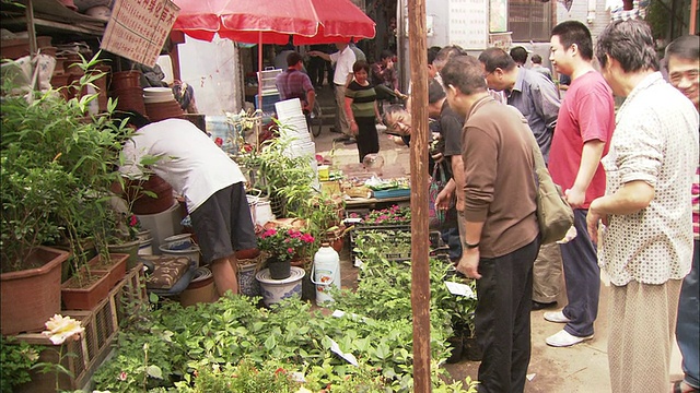 在北京户外市场销售工厂的WS供应商，中国视频素材