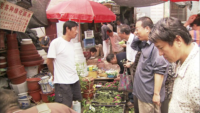 北京户外市场花摊上的WS供应商和客户视频素材