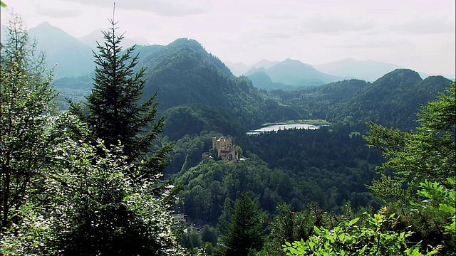 WS Hohenschwangau城堡在山区景观，树木在前景，巴伐利亚，德国视频素材