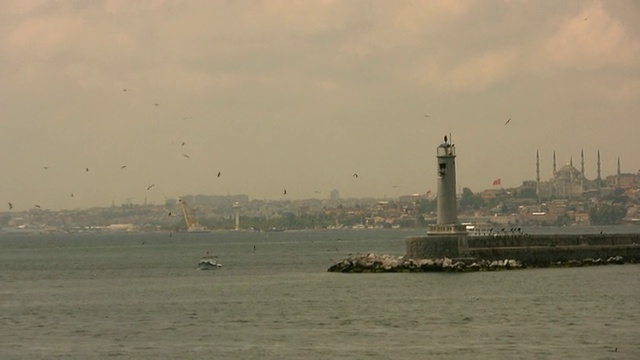 海光和海鸥视频素材