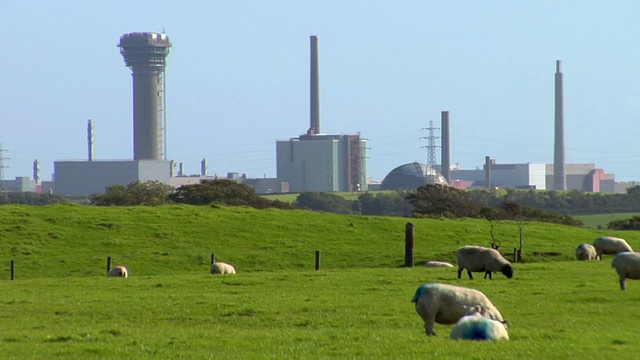 英国坎布里亚郡，前景/湖区，WS Sellafield核电站，绵羊放牧视频素材