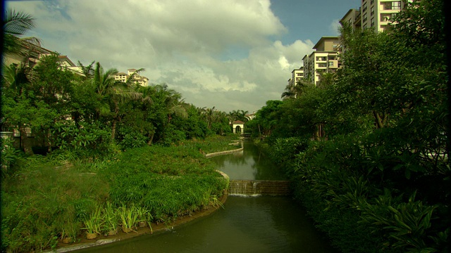 风景如画的运河，被绿色植物和棕榈树包围，万科梦幻世界综合体，深圳，广东，中国视频素材