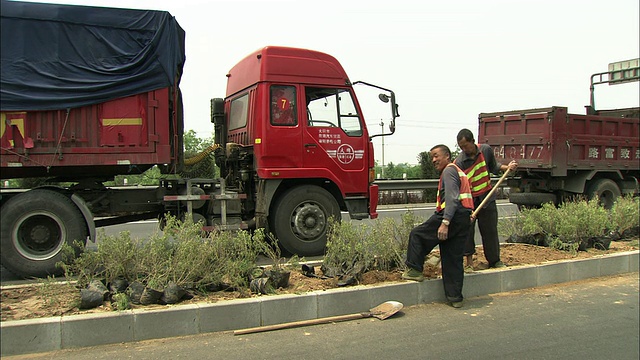 中国北京，工人们在繁忙的高速公路中间种植灌木视频素材