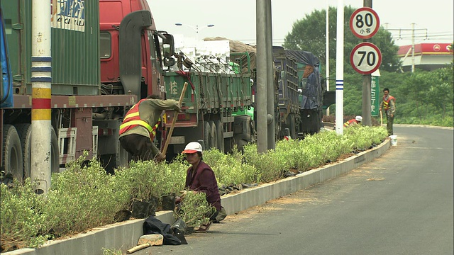 中国北京，在繁忙的高速公路中间，WS工人在种植灌木视频素材