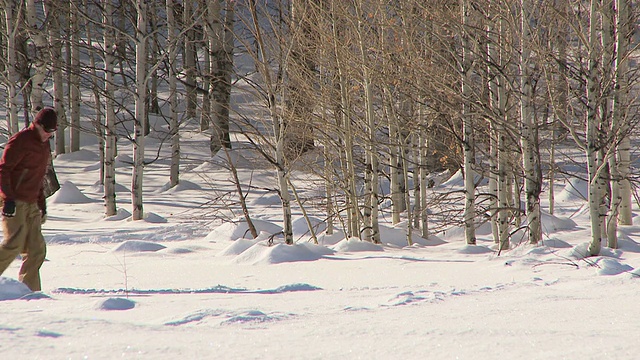 一对穿着雪鞋在雪地里行走的夫妇/凯彻姆，美国爱达荷州视频素材