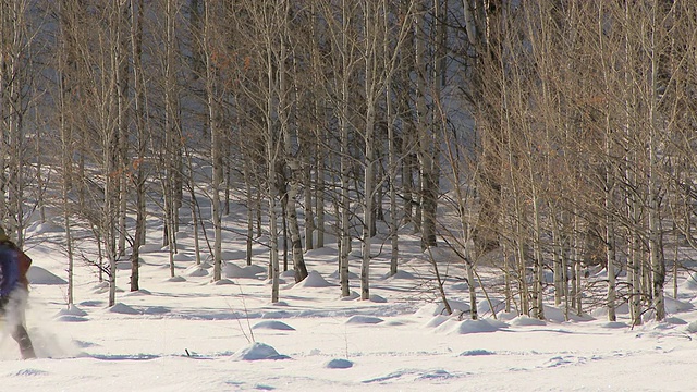 一对穿着雪鞋在雪地里跑步的夫妇/凯彻姆，爱达荷州，美国视频素材