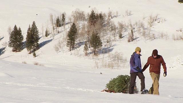 一对穿着雪鞋在雪地里拖着圣诞树的夫妇/美国爱达荷州凯彻姆视频素材