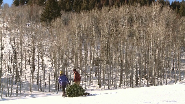 一对穿着雪鞋在雪地里拖着圣诞树的夫妇/美国爱达荷州凯彻姆视频素材