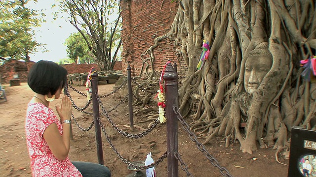 泰国大城府玛哈塔寺公园，一名年轻女子在佛头前祈祷视频素材