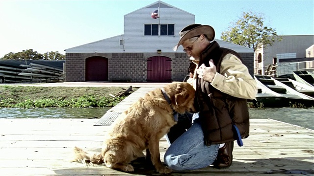 广角射手跪在地上，抚摸和抓挠金毛猎犬视频素材