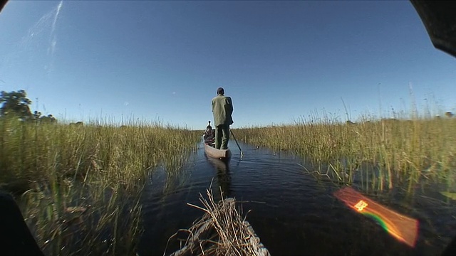 旧船穿过湿地，船夫在前面/奥卡万戈三角洲，博茨瓦纳视频素材