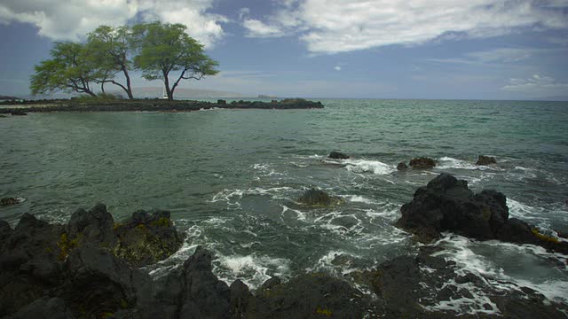 WS PAN SLO MO岛的海景，树在背景/毛伊岛，夏威夷，美国视频素材