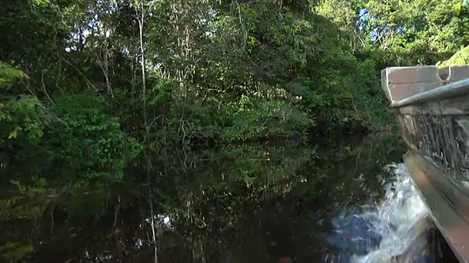 SLO MO POV移动在树木排列的“igarapes”小河流或通道连接河流/ Sao Gabriel da Cachoeira，亚马逊，巴西视频素材