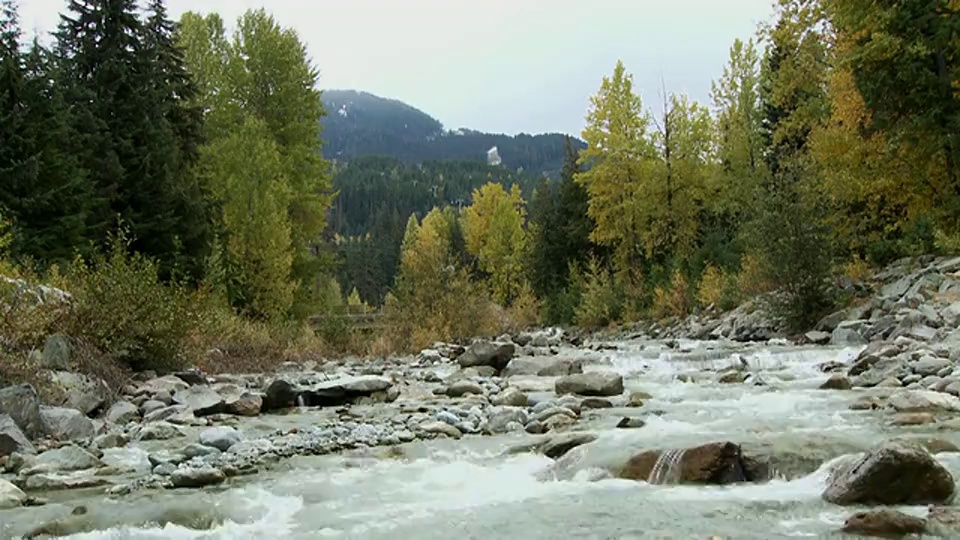 加拿大不列颠哥伦比亚省惠斯勒山前的小急流视频素材