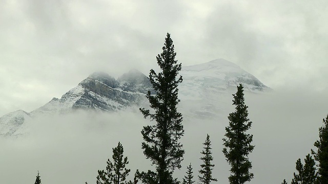 乌云覆盖着雪山的山峰，前景中的常青树/路易斯湖，班夫国家公园，加拿大阿尔伯塔省视频素材