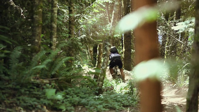 MS R/F Men山地自行车穿过森林/ Squamish/惠斯勒，加拿大不列颠哥伦比亚省视频素材