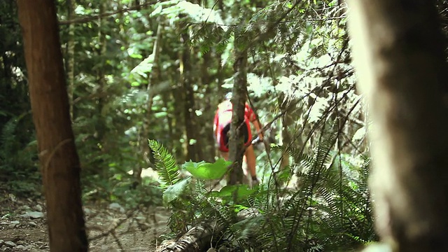 MS TU R/F Men山地自行车穿越森林/ Squamish/惠斯勒，加拿大不列颠哥伦比亚省视频素材