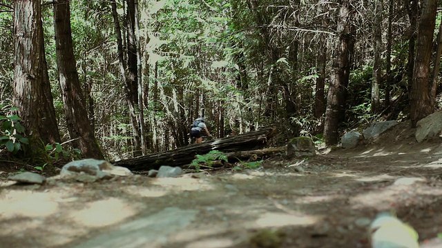 WS人山地自行车通过森林/ Squamish/惠斯勒，不列颠哥伦比亚省，加拿大视频素材