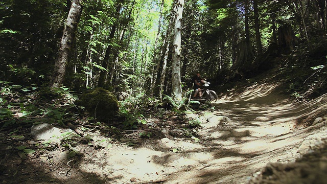 WS人山地自行车通过森林/ Squamish/惠斯勒，不列颠哥伦比亚省，加拿大视频素材