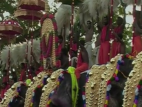 在Thrissur Pooram大象节/ Thrissur，印度喀拉拉邦，一排男人拿着阳伞和绒球站在大象的背上视频素材