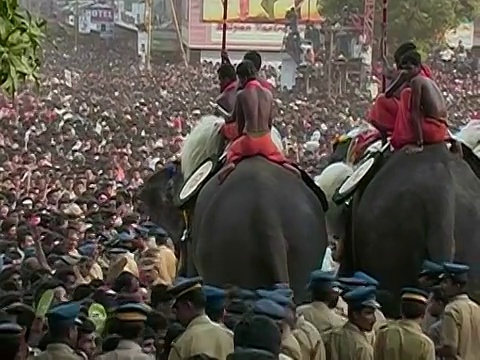 在Thrissur Pooram大象节/ Thrissur，喀拉拉邦，印度，人群中骑大象的人的广角后视图视频下载