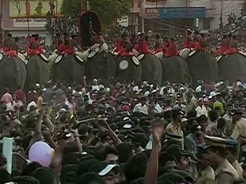 在Thrissur Pooram大象节/ Thrissur，喀拉拉邦，印度，后面的一排大象被人群包围视频下载