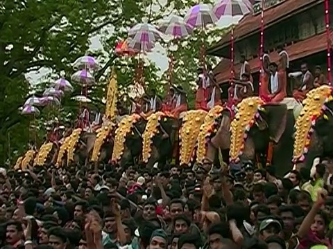 在印度喀拉拉邦的Thrissur Pooram大象节上，一排男人在大象头上举着阳伞视频素材