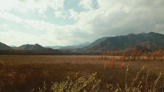 WS田野和山在秋天的颜色Senjogahara / Nikko，枥木，日本视频素材