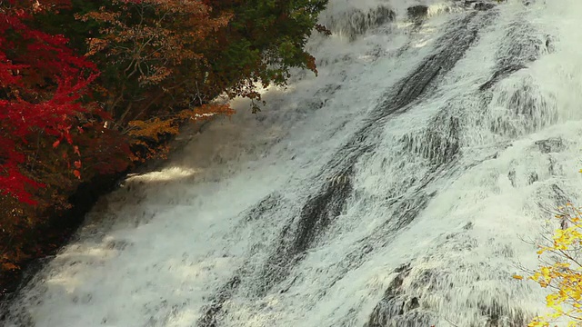 瀑布在岩石和秋树的一侧流动/日木，枥木县，日本视频素材