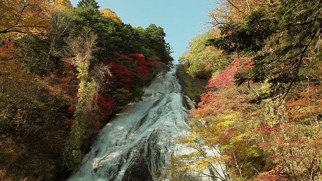 WS瀑布在岩石一侧流动，前景是秋天的树木/日木，枥木县，日本视频素材