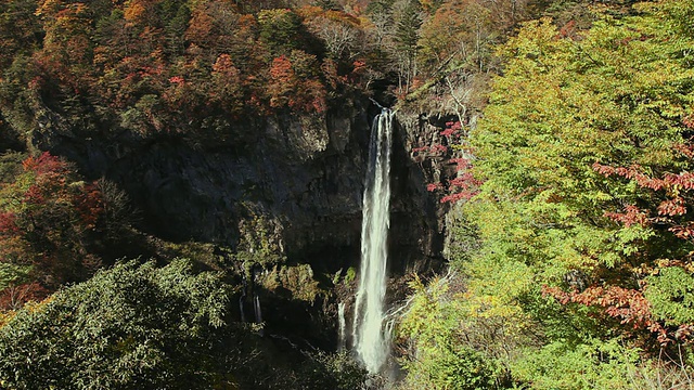 WS Kegon Falls in Autumn /日光国家公园，枥木县，日本视频素材