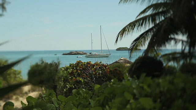 帆船停泊在加勒比海，棕榈叶和小屋屋顶在前景/拿骚，新普罗维登斯，巴哈马视频素材