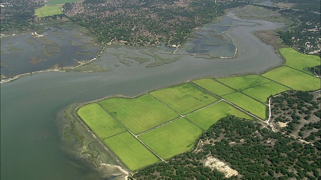 航空WS沼泽海岸线/ Lisnave, Setubal，葡萄牙视频素材