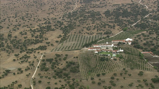 AERIAL WS农舍在乡村/ Evora，葡萄牙视频素材