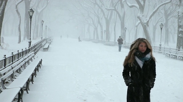 一名年轻女子走在公园里，在暴风雪/纽约，美国纽约视频素材