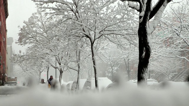 MS SELECTIVE FOCUS三个十几岁的男孩带着雪橇走在树两旁的雪覆盖的街道上/美国纽约视频素材