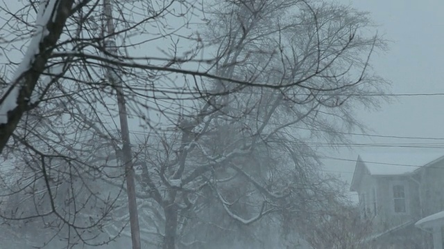 美国弗吉尼亚州里士满下雪视频素材