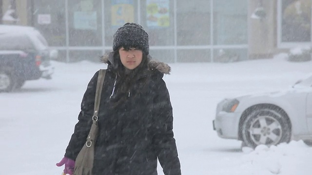 TU女士在暴风雪中把食品杂货送到车上/里士满，弗吉尼亚，美国视频素材