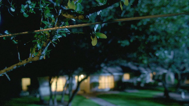 加州大学的树枝在夜晚触摸电线，产生火花，背景中的房子/美国德克萨斯州乔治城视频素材